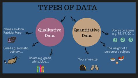 How to Analyze Survey Data: Best Practices .